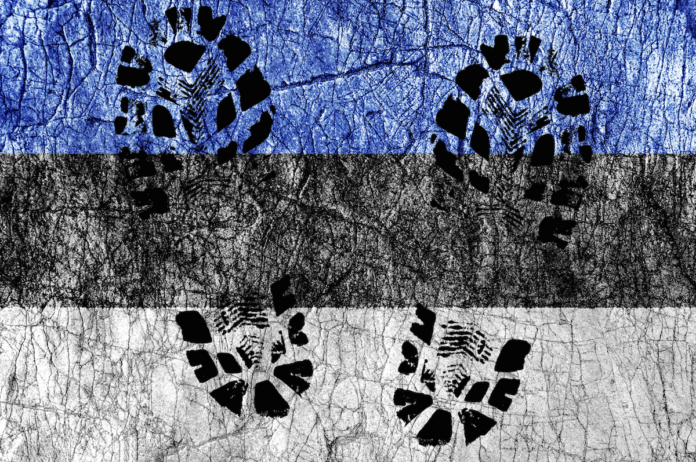 Eesti lipp saapajälgedega copy