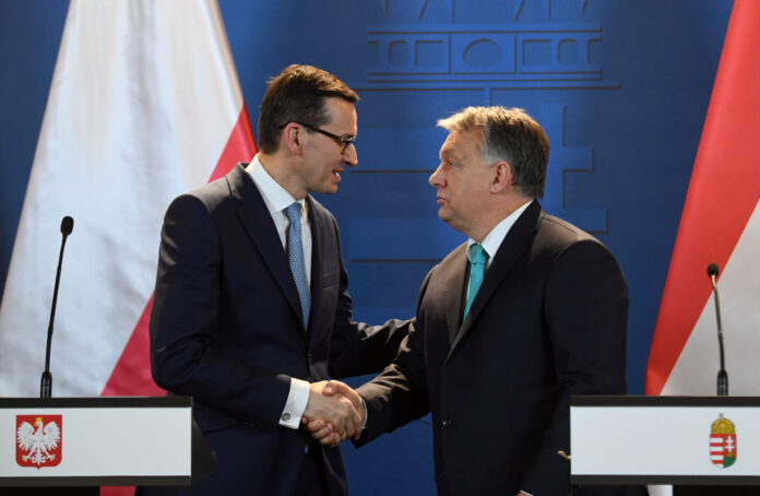 ATTILA KISBENEDEK / AFP