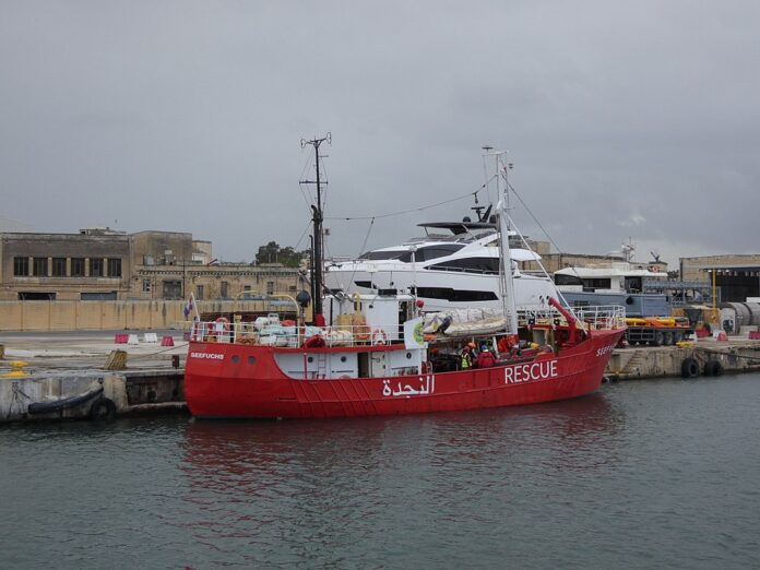 1024px-Seefuchs_Valletta_2