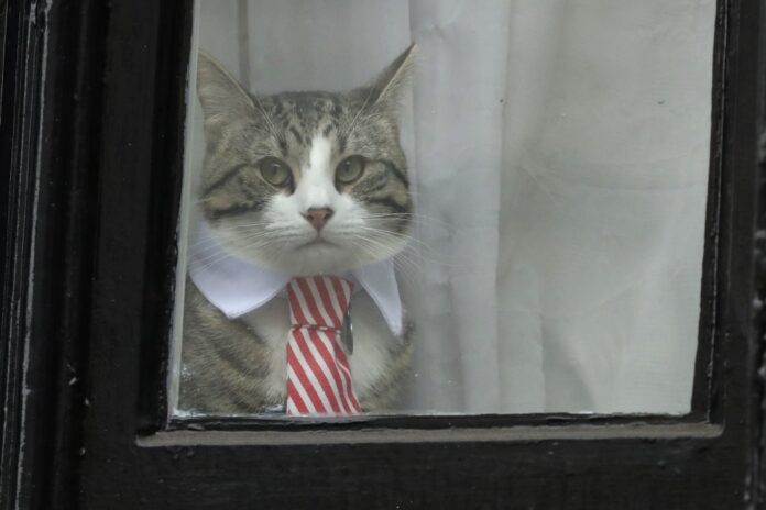 Britain Assange