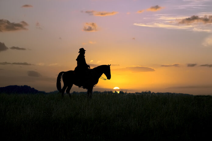 Cowboy Silhouette